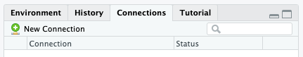 Connections tab in the RStudio Environment pane.